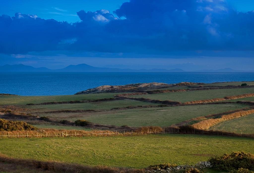 Blackthorn Farm Bed and Breakfast Holyhead Eksteriør billede